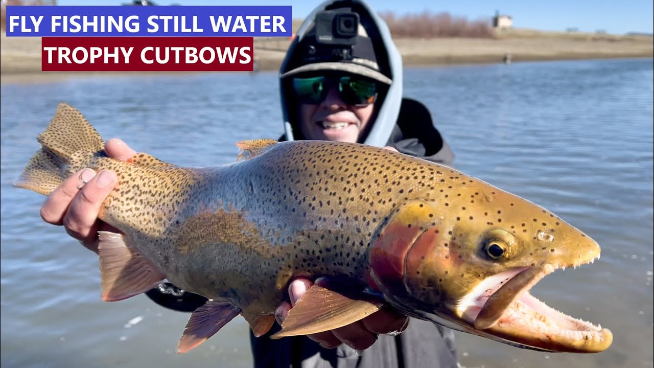 Fly Fishing Spinney Mountain Reservoir for TROPHY Trout YouTube