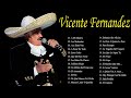 VICENTEFERNANDEZ SUS MEJORES EXITOS LAS 35 GRANDES CANCIONES DE VICENTEFERNANDEZ