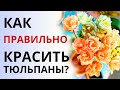 Как ПРАВИЛЬНО красить тюльпаны? Как покрасить живые цветы. Обучение флористике.