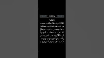 بشارة وتحفيز وطمأنة المتقين والمؤمنين ...‏سورة فصلت .. القارئ #ريان_المحيسني