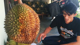 Durian Lokal Trenggalek meskipun murah tapi rasanya mantab