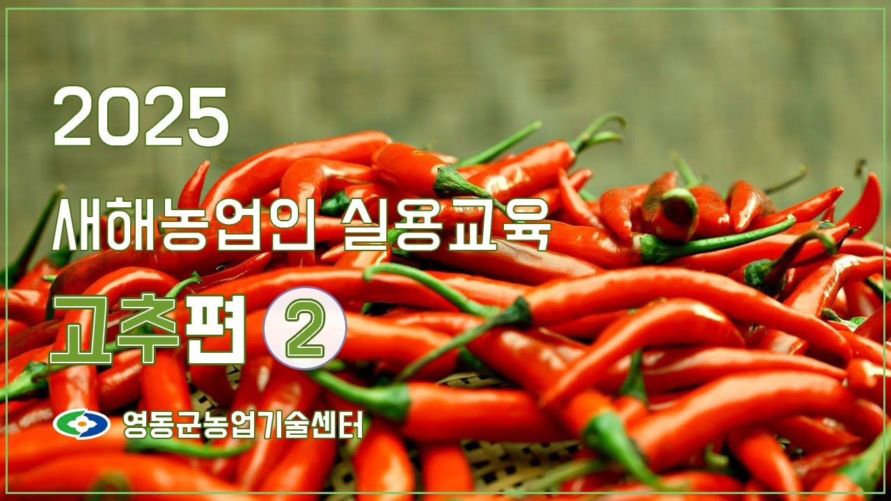 고추 재배관리기술 ㅣ 2025년 새해농업인실용교육