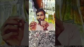 life cycle of housefly | makkhi ka jivan chakr | Science | ak gs Research points