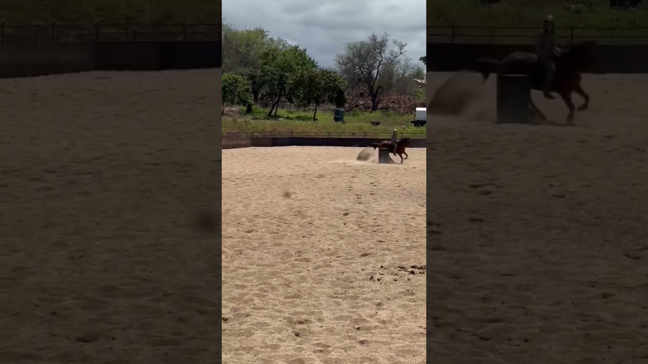 Barback barrels and poles on Willy🤩 