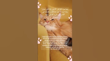 القرآن الكريم - الأنعام ٣٨