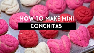 The Best CONCHAS Recipe Homemade conchas easy Pan Dulce recipe, Conchas Mexicanas