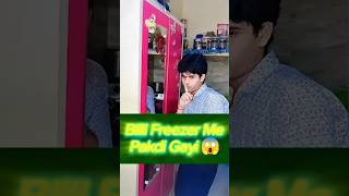 Freezer Me Billi Ka Item 😱❄️ | Funniest Cat #shorts #comedyvideo #comedy #funny #trending #viral