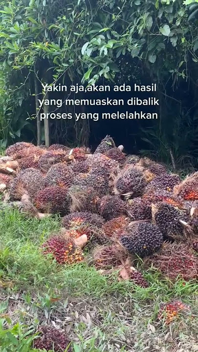 berakit rakit ke hulu berenang ketepian...