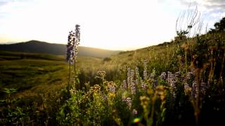 Summer in Utah's Mountains by familydobes 327 views 9 years ago 1 minute, 39 seconds