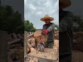 Amazing factory 🏭 work #relaxing #satisfying #factory #asmr #viral