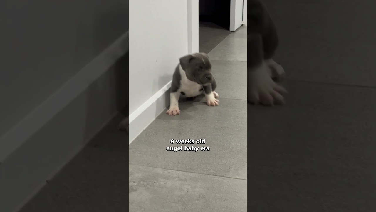 Was born adorable. Remained adorable. Turned savage. 😂 