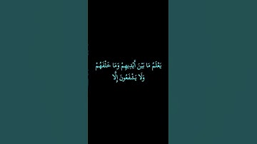 كروما#وما أرسلنا من قبلك من رسول إلا نوحي إليه#سورةالأنبياء#الشيخ سعد الغامدي# قراءن كريم#راحة نفسية