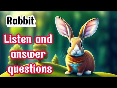 Curiousmindkids Rabbit Education