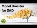 Seasonal Affective Disorder Meditation Mood Booster - Isochronic Tones
