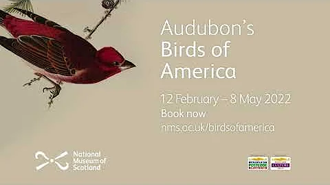 Audubons Birds of America trailer