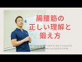 腸腰筋の正しい理解と鍛え方