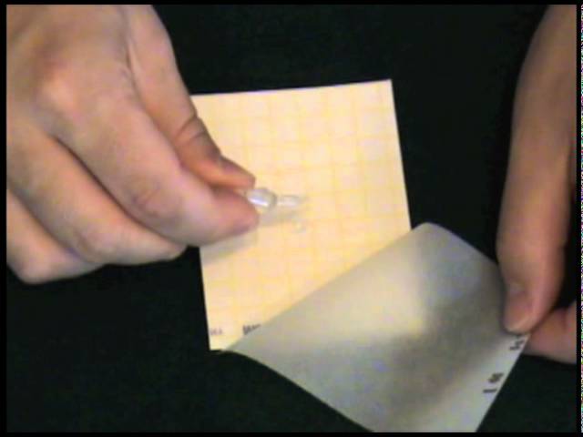 How To Test For Mold With Pictures Wikihow