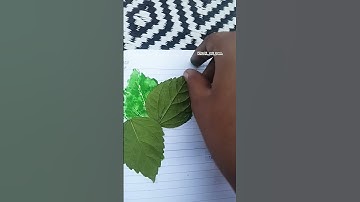 leaf art 🎨 #music #art #afrobeat #artandcraft #best #drawing #artanddesign #painting