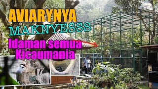 AVIARYNYA SEDERHANA TAPI MEWAH, BIKIN HATI AYEM TENTREM, BURUNG BERKEMBANG BIAK, PEMILIK  SENANG