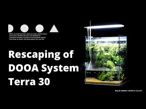 How to make Terrarium Waterfall tank at home | DOOA System Terra