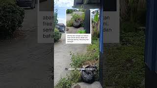 Jaafar Order Cod Call Tak Angkat Rider Je Yang Kena Makan Hati