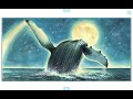 Trapped a whales rescue by robert burleigh and read by mrs mundl