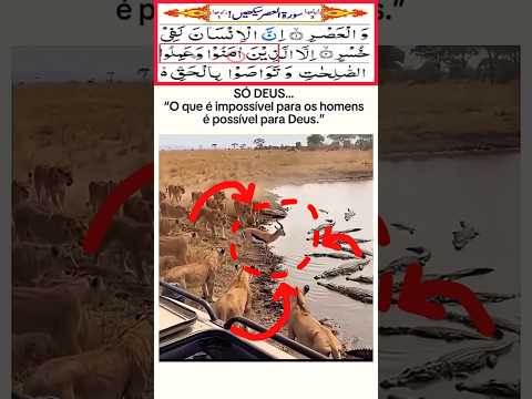 "سورة العصر 🌙 Surah Al-Asr | Powerful Quran Recitation That  Touches the Heart 💖" #yt#egzonibrahimi​