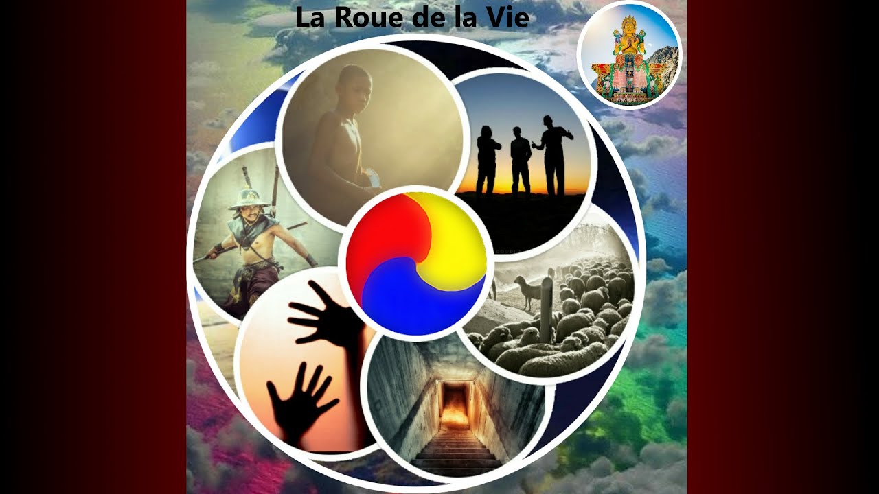 Une représentation des 6 règnes