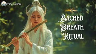 Flute Flow | Tibetan Flute with Gentle Pulse – Sáo Tây Tạng Có Nhịp Nhẹ