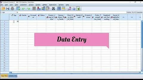 Data Entry & Data Analysis in SPSS