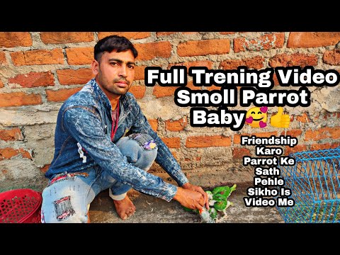 Parrot first step traning full video 🐦💟|| #birds #traning #babyparrot