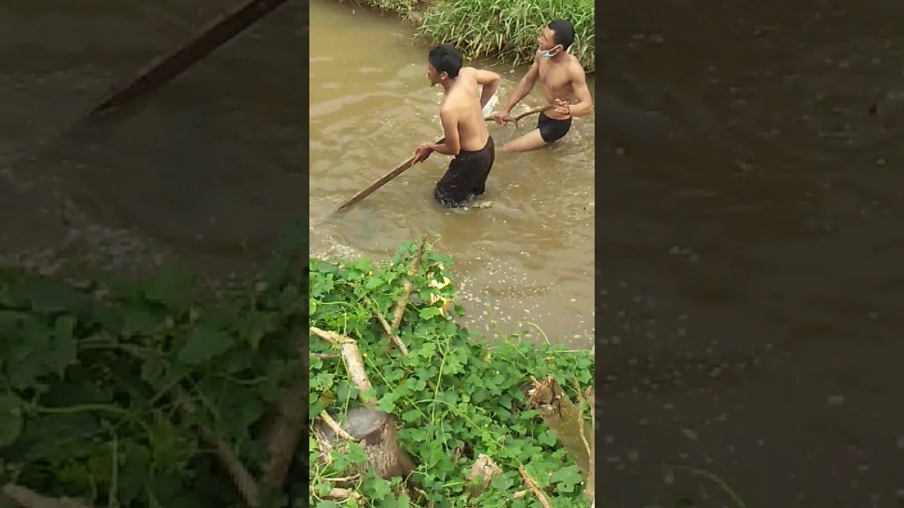 Cara paling jitu menjaring ikan di sungai otomatis dapat