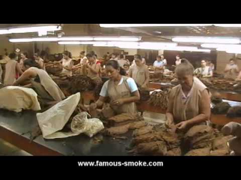 A Short Tour of the El Paraiso Cigar Factory (Hond...