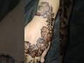 🤩Bakra Eid Empty Space 💖 Broad Flower Mehndi Design ✨🐐 | 🍁💫🎀Eid-ul-Adha Special #shorts