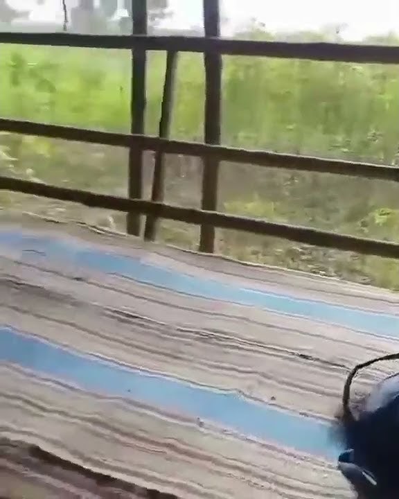 viral gadis manis cantik penjaga warung makan.bakal ketagihan terus makan di sini