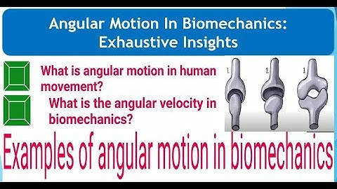 Angular Motion In Biomechanics: Exhaustive Insights