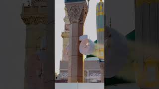 Download Lagu Qalbi fill madina💚#Nasheed#love #life #creative #youtubeshorts #viral #trend#fyp#views#subscribe MP3