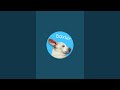 WHO IS CUTER? Baxter Live Stream