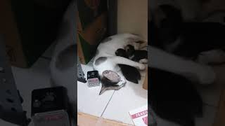 Santai Dulu Sambil Netein