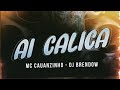 Ai Calica " MC CAUANZINHO ( DJ BRENDOW ) / @BECO062