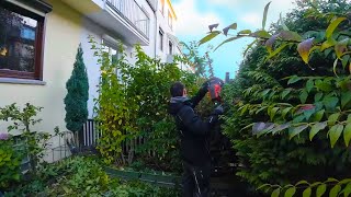 This “Small Job” Turned Into Something Much Bigger Than We Expected