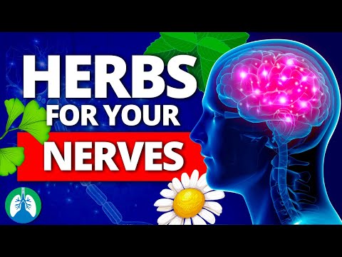 Top 10 Best Herbs for Your Nerves (Nervous System Boost)