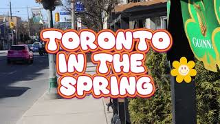 Spring in Toronto