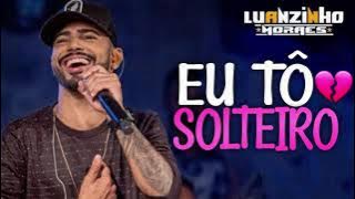 EU TÔ SOLTEIRO - Luanzinho Moraes 2020 | ARROCHA MUSIC