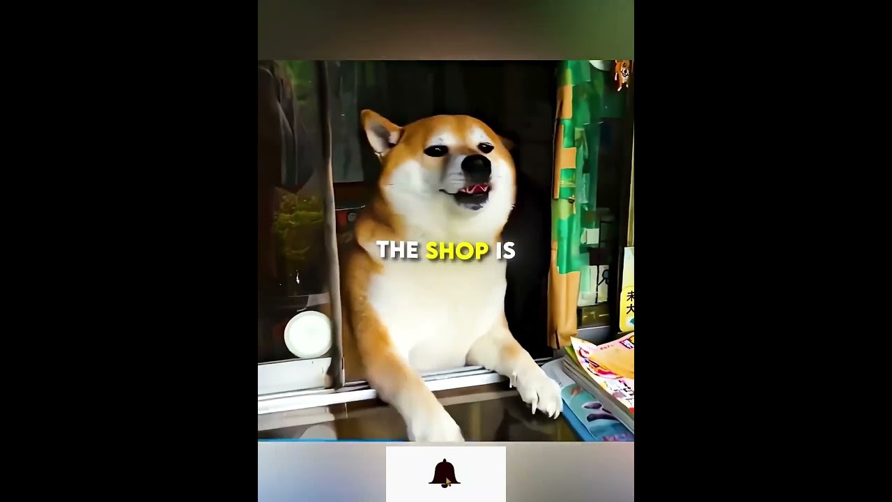 Japan shop owner is dog 🐶 