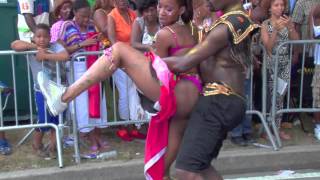 West Indian Day Parade 2013 part 8
