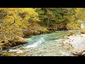 Relaxing river   4k u nature sounds for study meditate or sleep