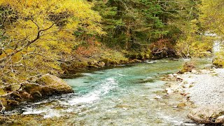 Relaxing River | 4K UHD | Nature Sounds for Study, Meditate or Sleep