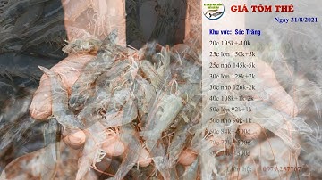 Giá Thủy Sản hôm nay 31/08/2021