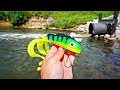 Fishing w/ GIANT LURES In TINY PUDDLES!!! (Surprising)